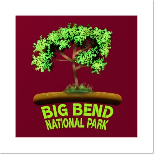 Big Bend National Park Posters and Art